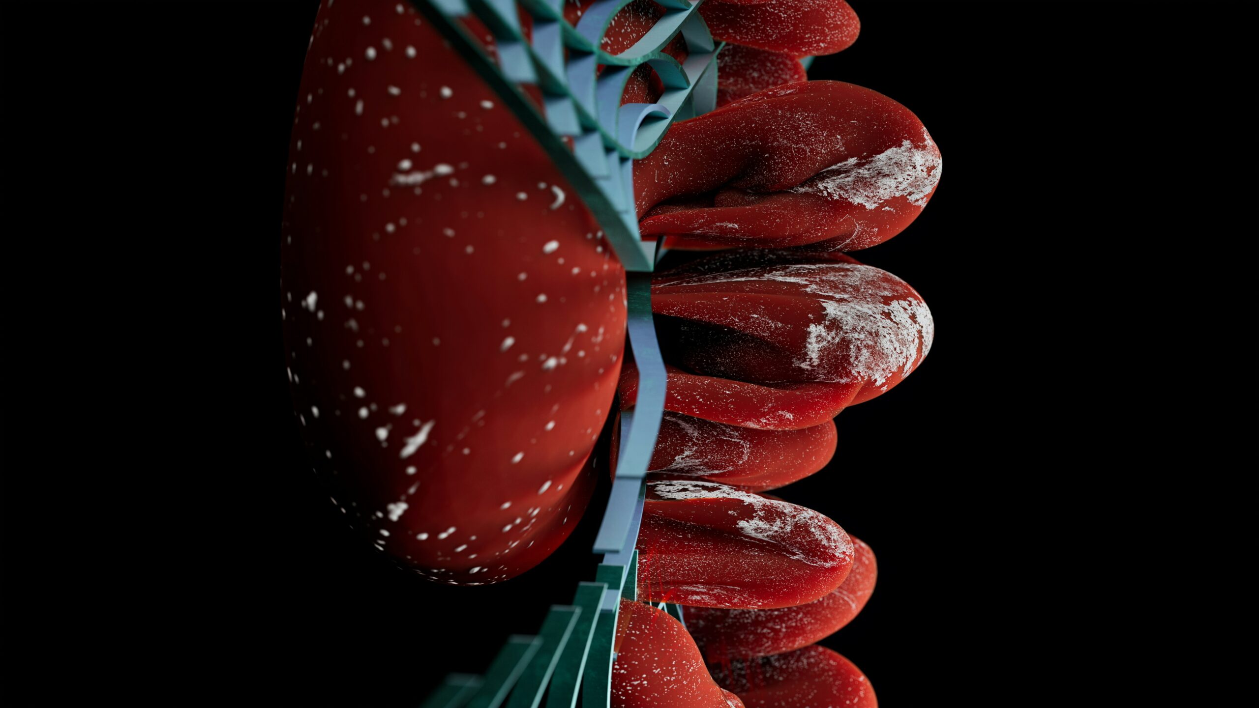 Diagram showing how insulin helps glucose enter muscle cells versus resistant pathways