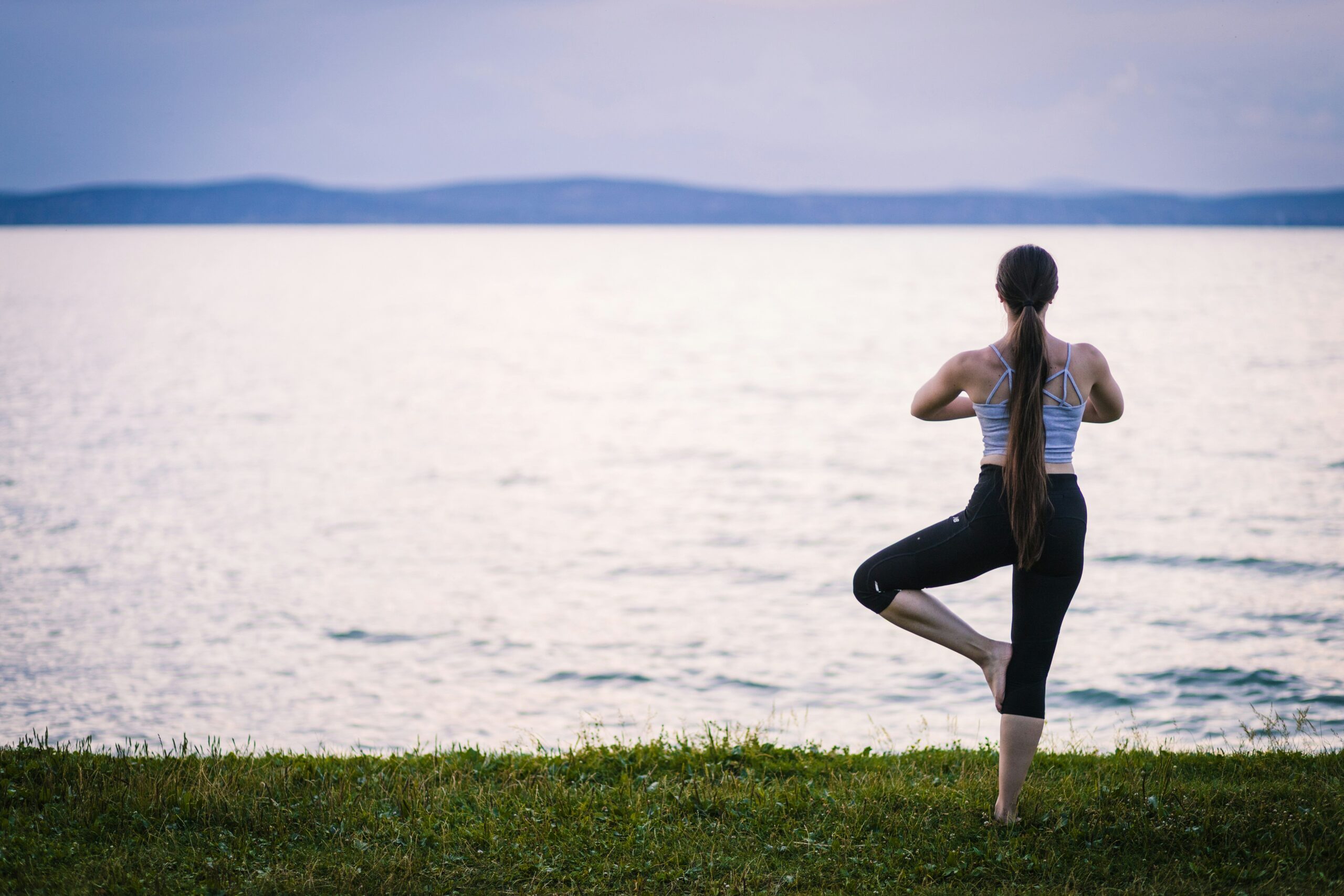 Holistic Approach to Weight Loss with Gymnema Sylvestre: Unlock Your Wellness Potential