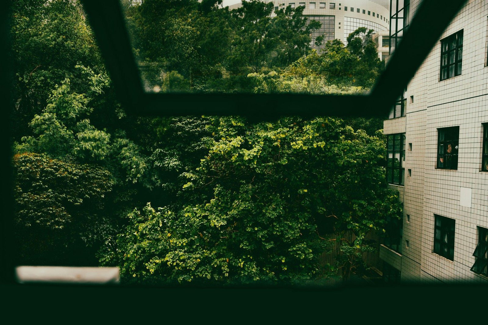 Graph showing blood sugar spikes after sugary snacks