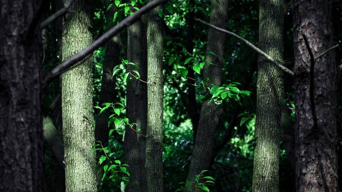 Illustration showing the impact of sugar cravings on daily life