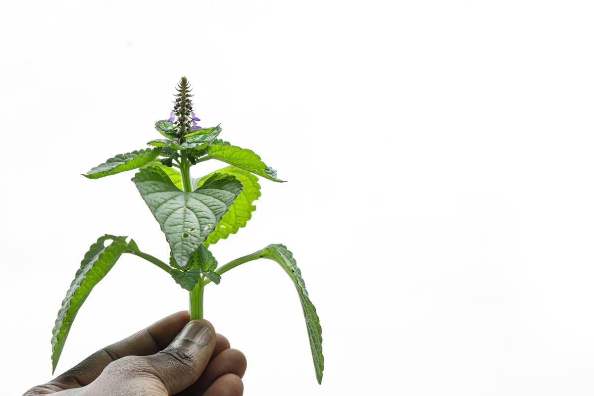 Infographic showing global diabetes statistics 2023