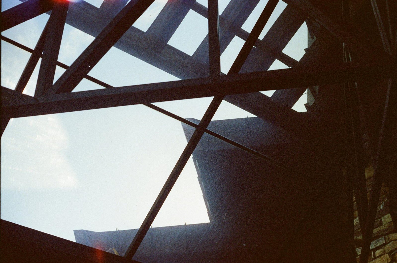 Is Gymnema Sylvestre the Secret to Sugar Absorption Block and Weight Loss?