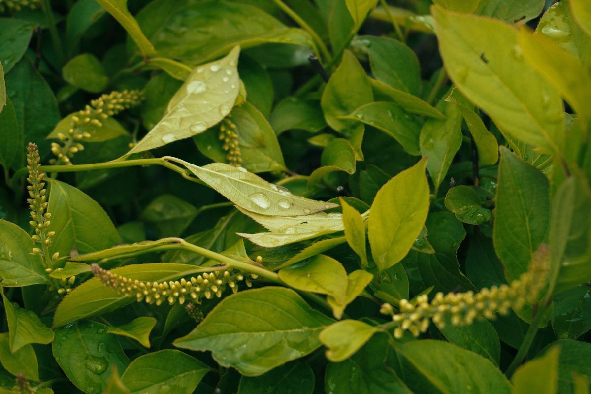 Infographic showing alarming rise in sugar consumption over decades