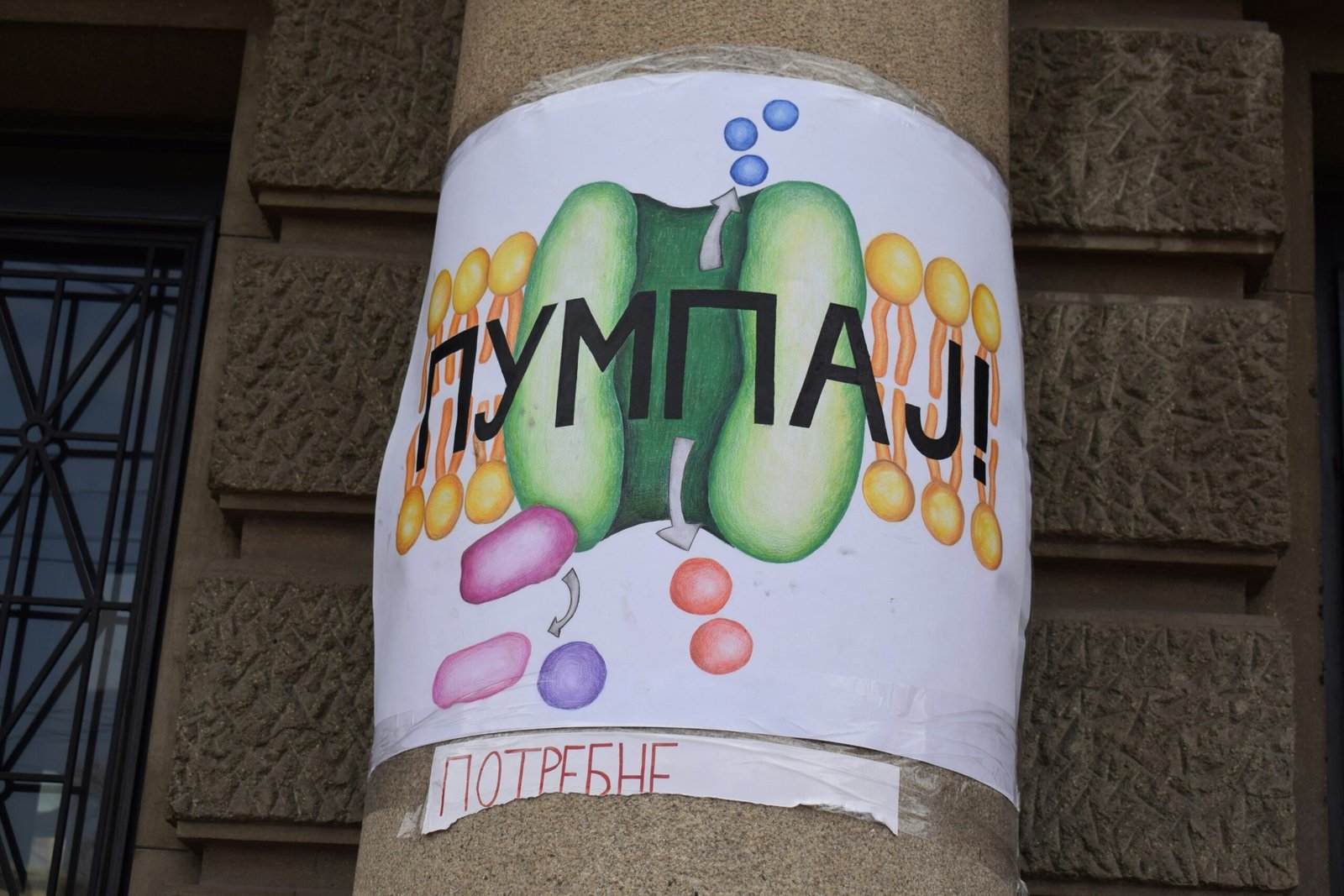 The poster shows a cell membrane pump.