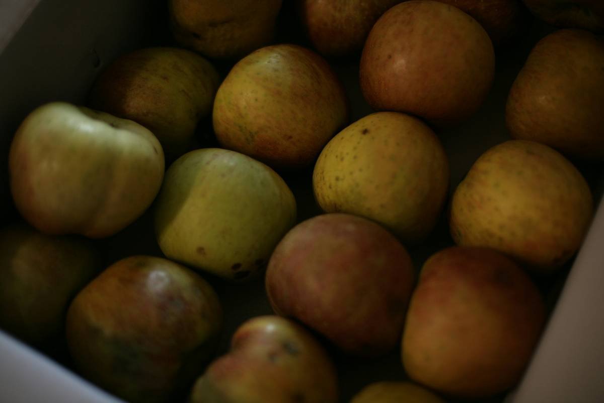 Illustration of hand reaching for a cookie jar labeled 'Sugar Cravings'