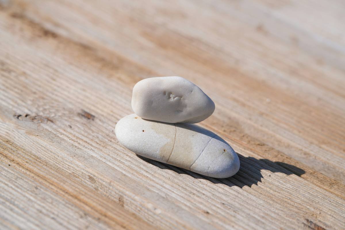 Dried leaves of Gymnema Sylvestre used as a sweet balance booster