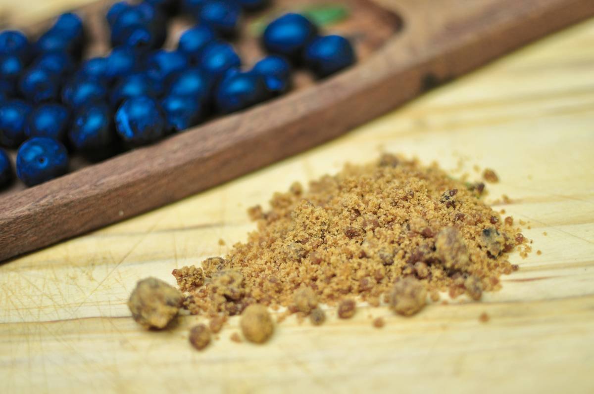 Infographic showing how gymnema sylvestre blocks sugar receptors on taste buds and intestinal cells