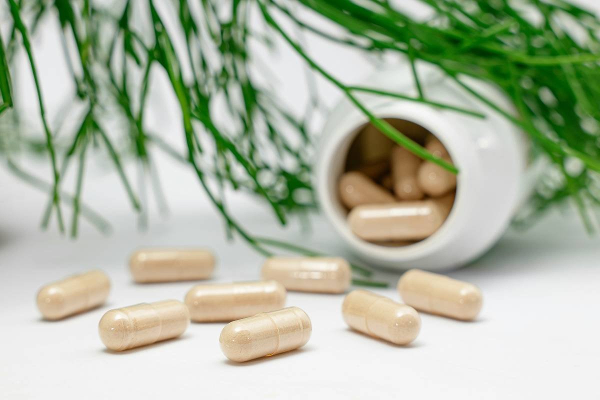 Does Gymnema Sylvestre Help Weight Loss? Science, Myths, and Real Results