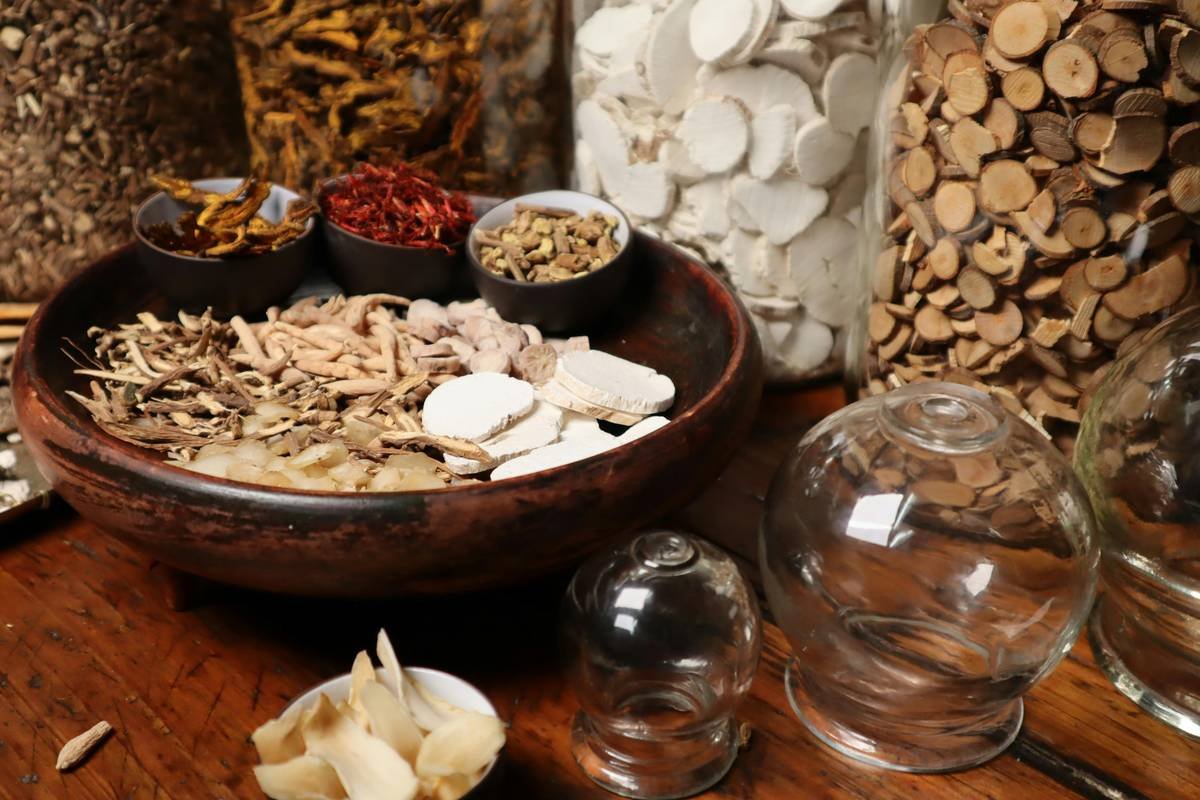 What Is Sweet Control Extract? The Gymnema Sylvestre Secret for Craving-Free Weight Loss