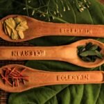 Can Gymnema Sylvestre Help with Weight Loss? Science, Myths, and Real Results