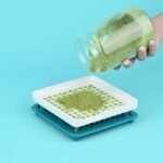 Can Weight Loss Supplements Replace Gymnema Sylvestre? What Science Says