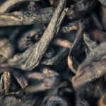Diabete Aid Gymnema Sylvestre vs Berberine: Which Natural Ally Wins for Blood Sugar Balance?