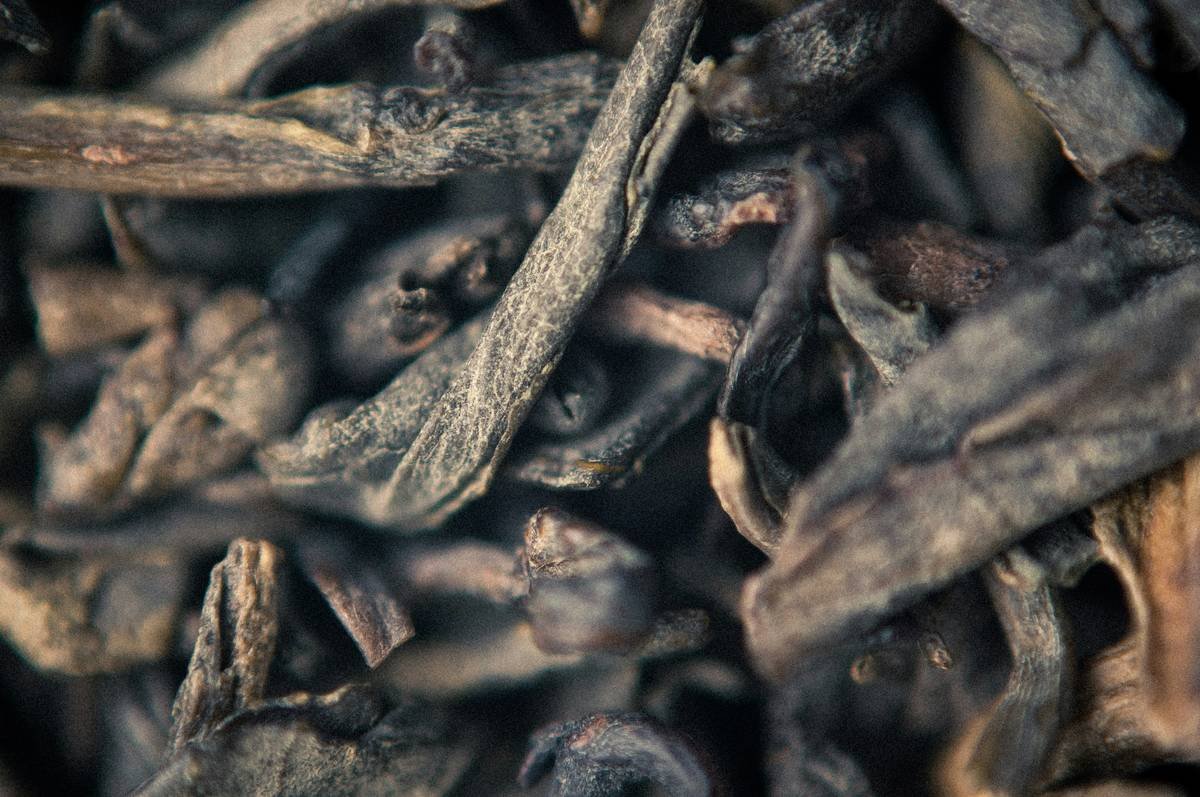 Diabete Aid Gymnema Sylvestre vs Berberine: Which Natural Ally Wins for Blood Sugar Balance?