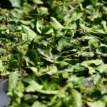 Glucose Health Benefits: How Gymnema Sylvestre Rewires Your Sugar Cravings