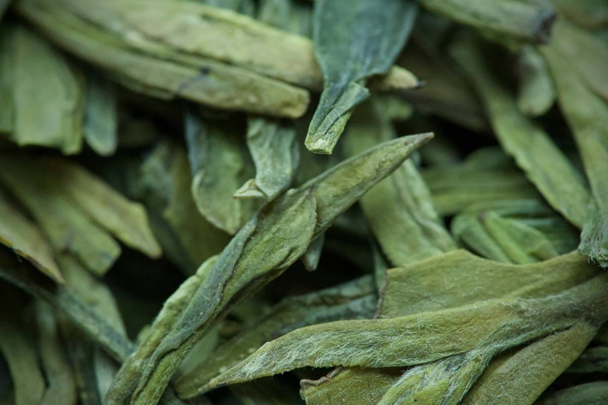 What Does Gymnema Tea Taste Like? The Bitter Truth About This Sugar-Blocking Herb