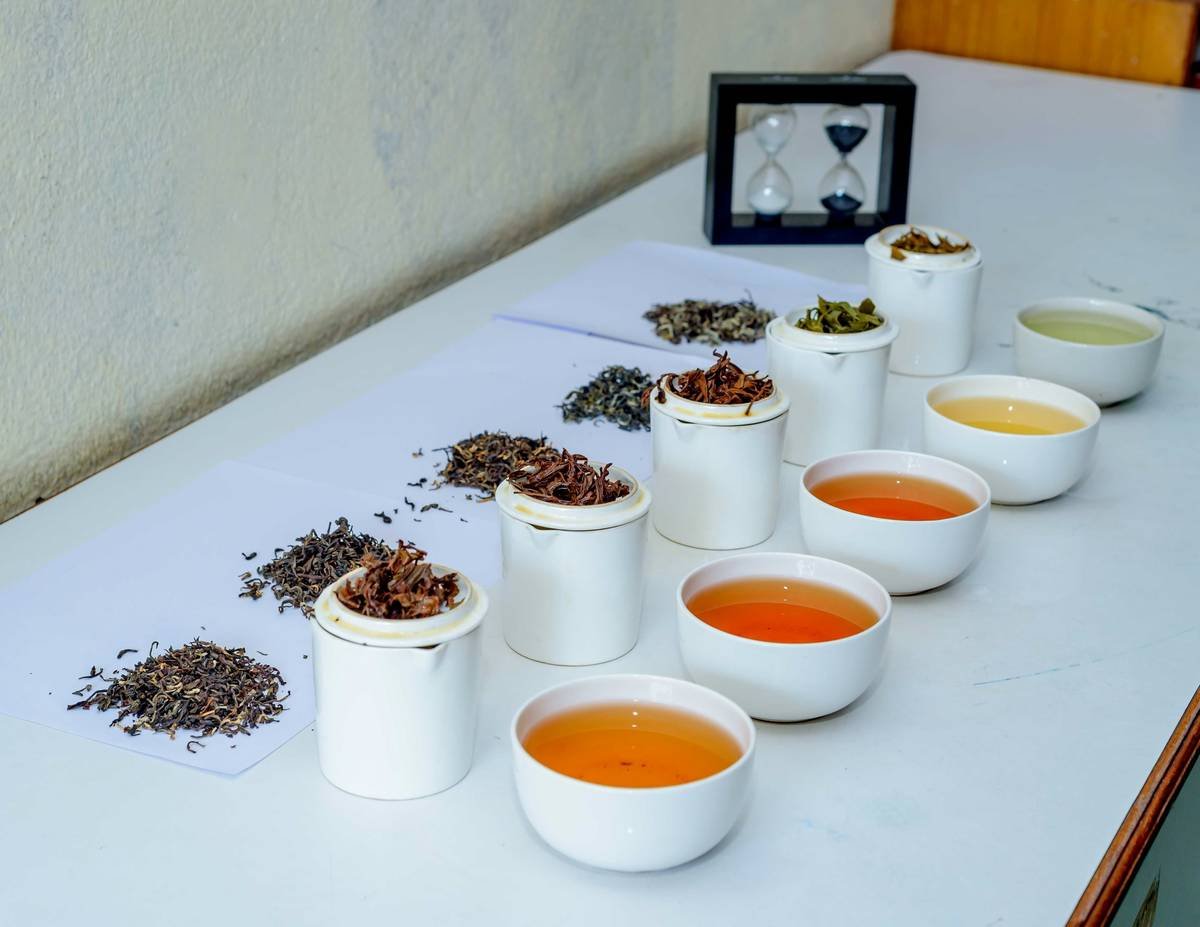 Woman sipping gymnema tea to understand how does gymnema tea affect taste