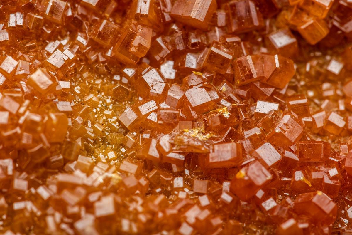 Close-up of gymnema sylvestre leaves next to a sugar cube illustrating benefits of sugar in context